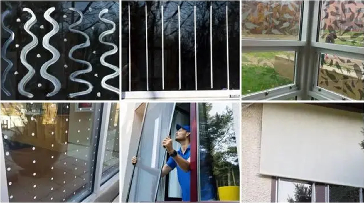 舟山防鸟撞玻璃